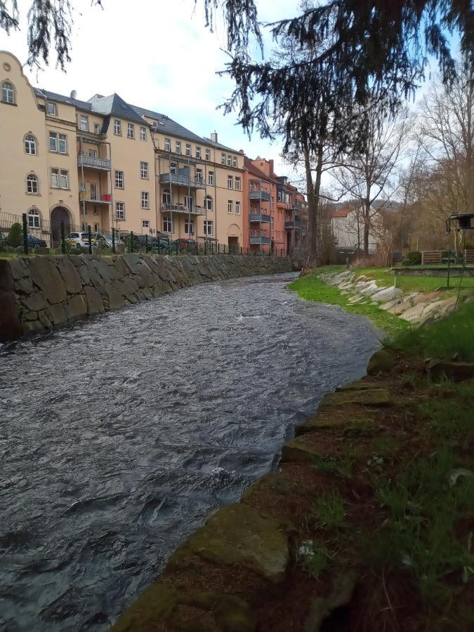 Ferienwohnung Zum Sebnitzer Hirsch Esterno foto