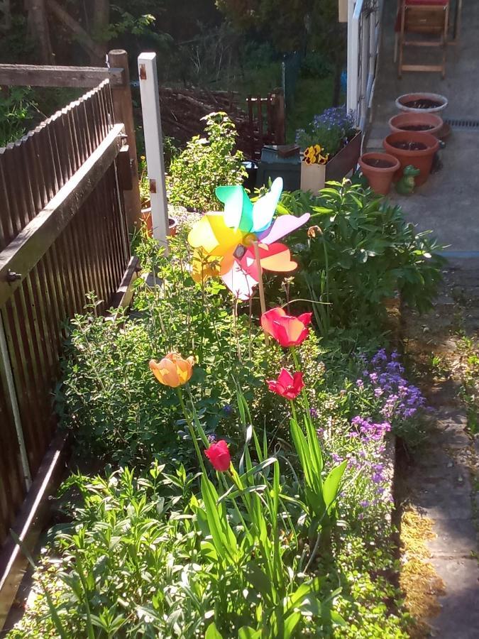 Ferienwohnung Zum Sebnitzer Hirsch Esterno foto